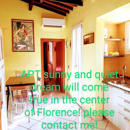 Apt Bright, Quiet! In The Center. 佛罗伦萨 外观 照片